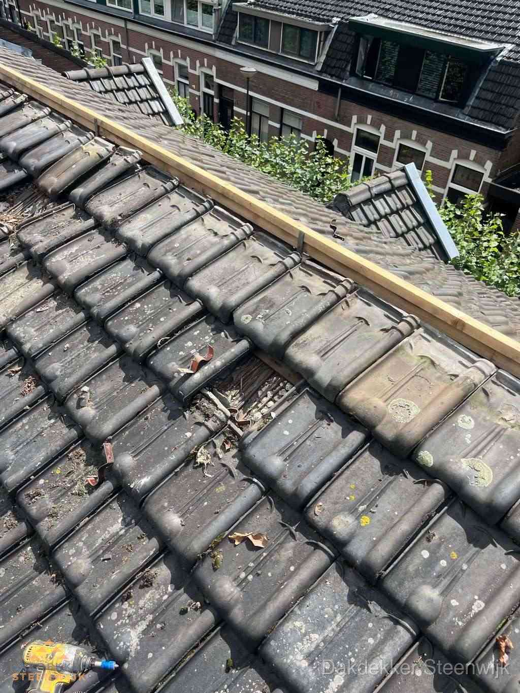 Dakonderhoud Steenwijk Dakonderhoud Steenwijk