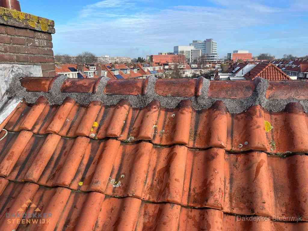 Steenwijk Daken Renoveren Steenwijk Daken Renoveren